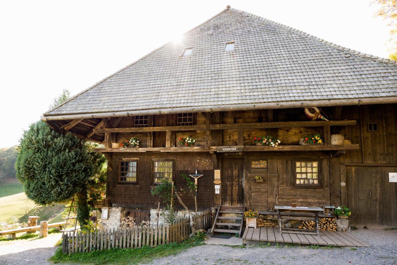 אובריאד Berghaus Freiburg - Appartement Hotel Auf Dem Schauinsland מראה חיצוני תמונה